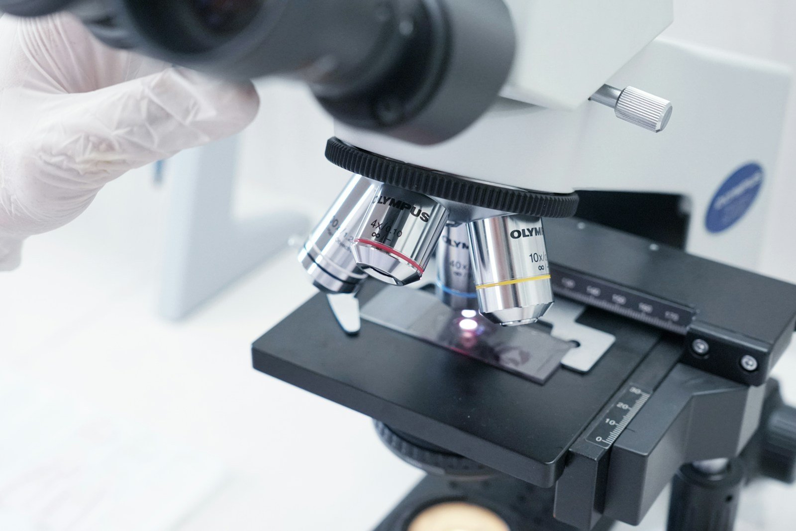 Researcher examining samples through a microscope