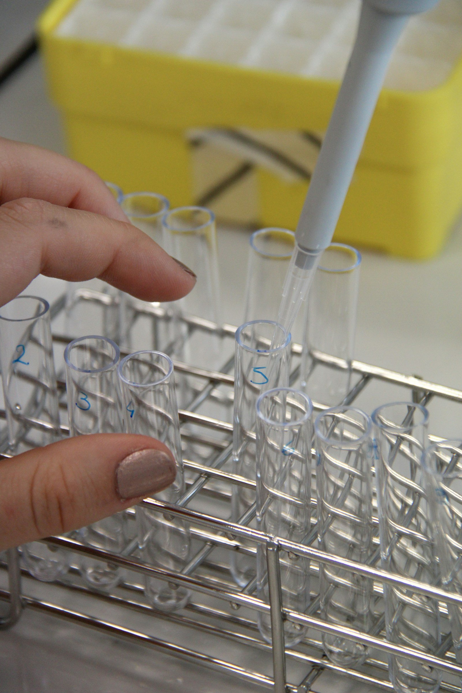 Scientist pipetting samples in a research laboratory